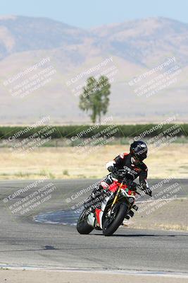 media/Jun-30-2024-TrackDaz (Sun) [[975061b0f9]]/Group C/Grapevine (940am)/